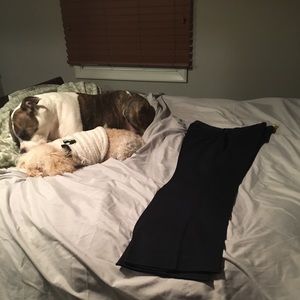 Express editor dress pants size 12